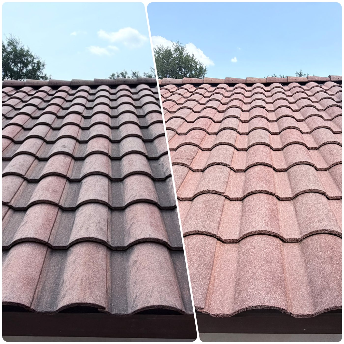 Roof washing before and after, Boerne TX